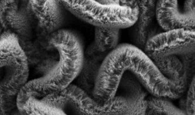 行业新闻：可拉伸的超等电容器，，，，，为柔性可衣着装备铺路